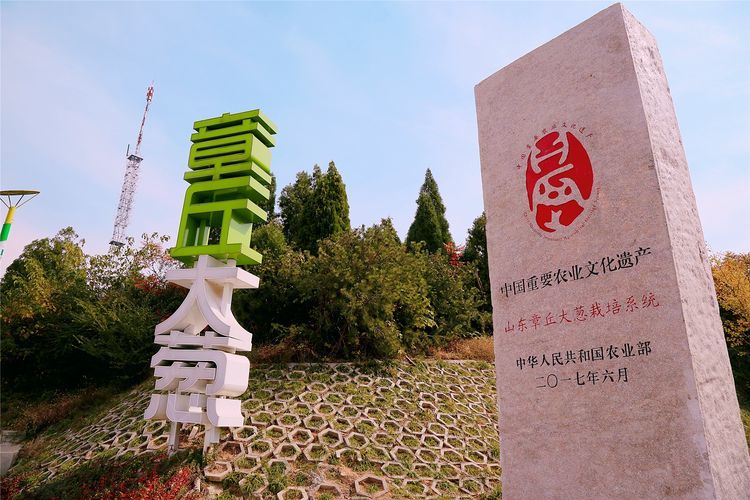 喜报章丘区绣惠街道被评为山东省乡村振兴示范乡镇街