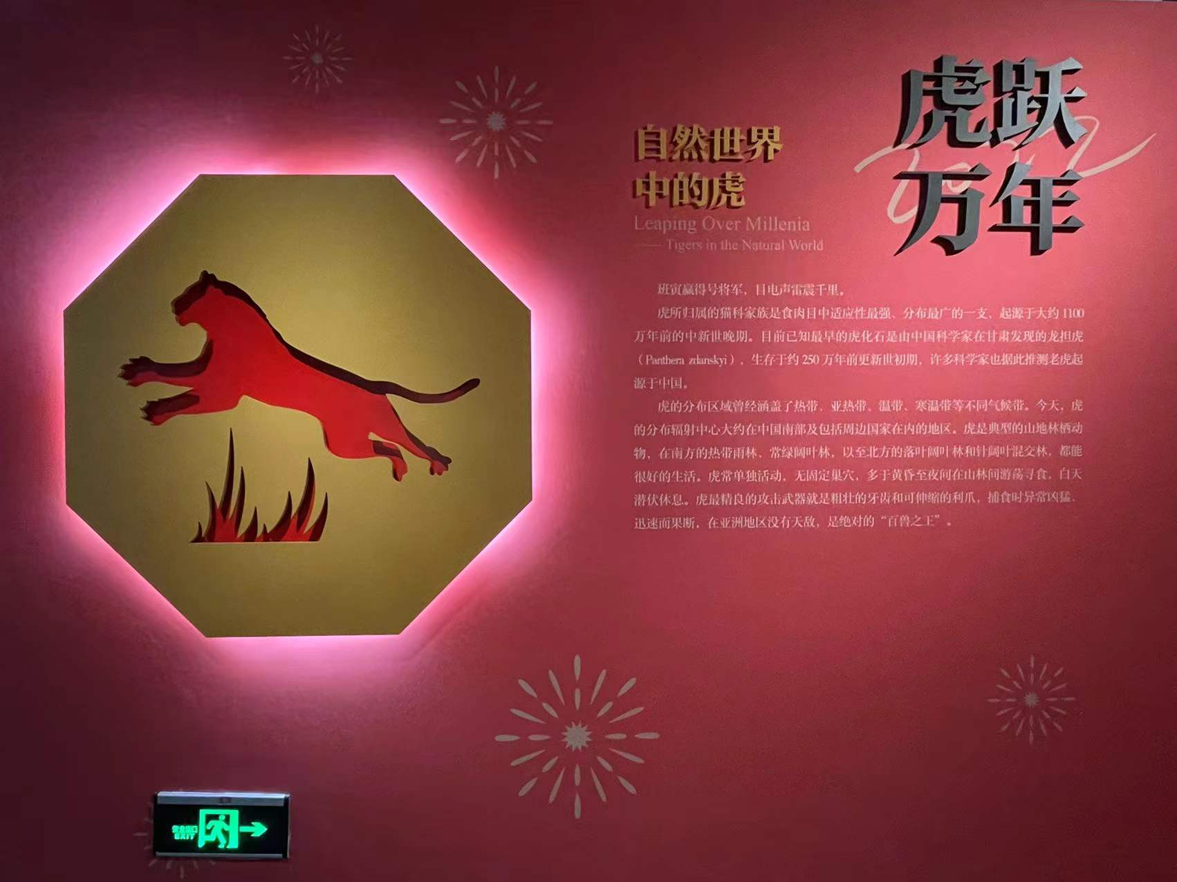 宁波这个展览“虎虎生威”！130余件珍贵虎文物在宁波博物馆与宁波帮博物馆同期开展