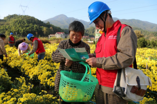 图为供电员工义务帮助茶农采摘。