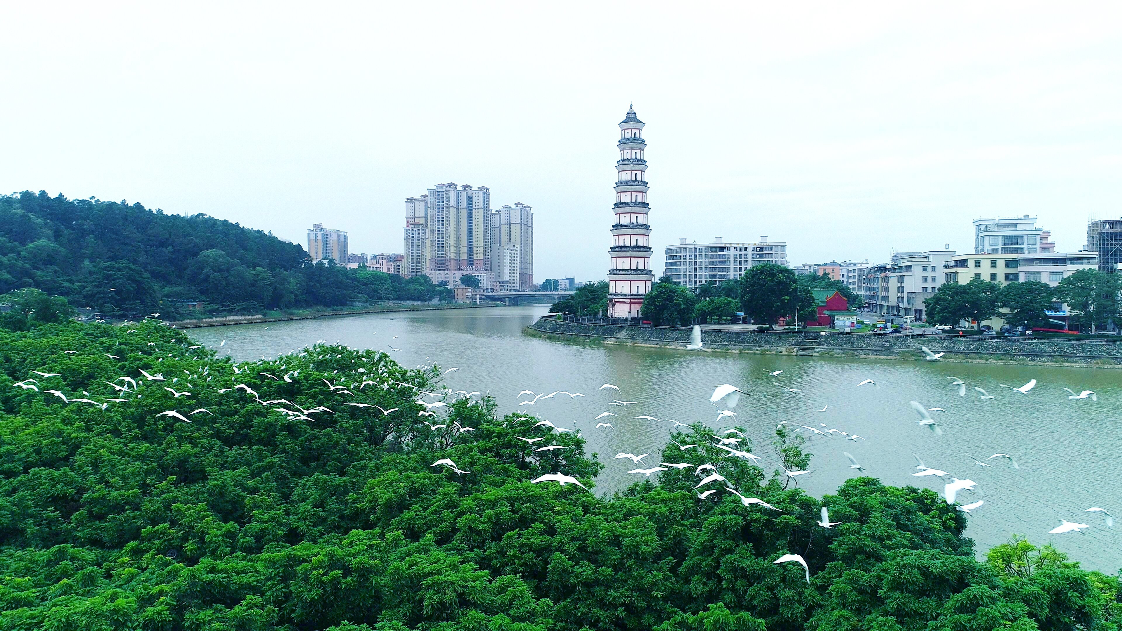 鉴江干流——新晋省级主要河道。通讯员供图