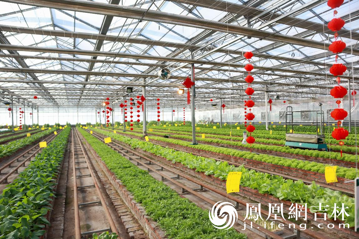 第十二届吉林（长春）冬季农业博览会开展：三十项活动精彩纷呈陪您过新年