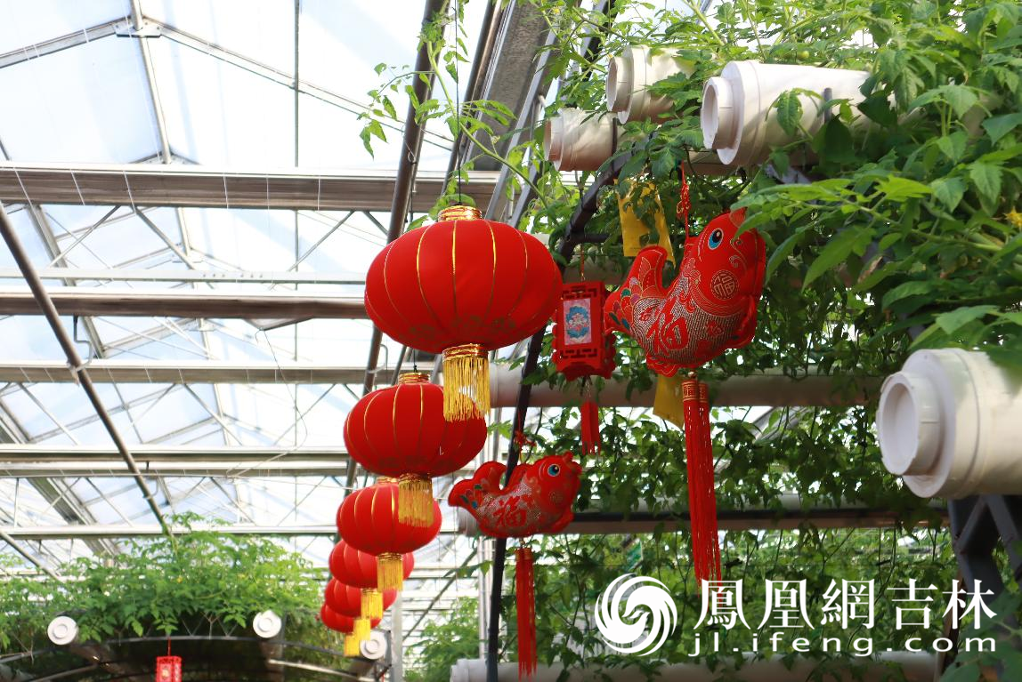 第十二届吉林（长春）冬季农业博览会开展：三十项活动精彩纷呈陪您过新年