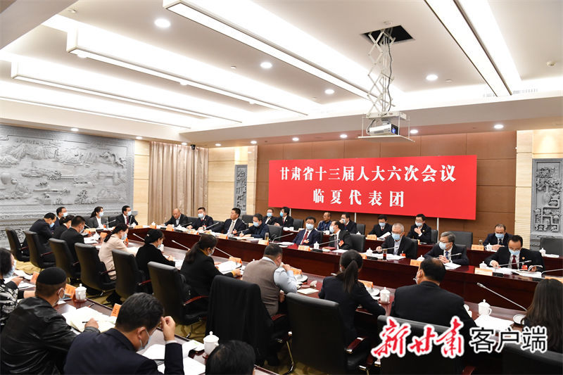 临夏代表团审议省人大常委会工作报告、省高级人民法院工作报告、省人民检察院工作报告