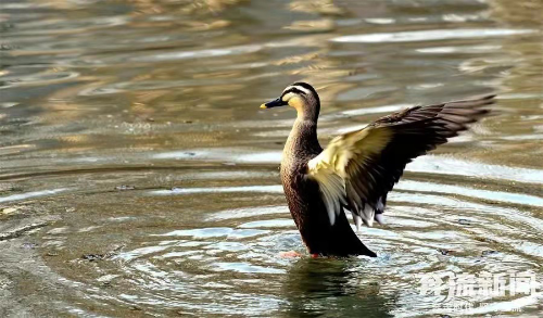 冬春约“惠”兰州,还有精品线路等你来打卡!