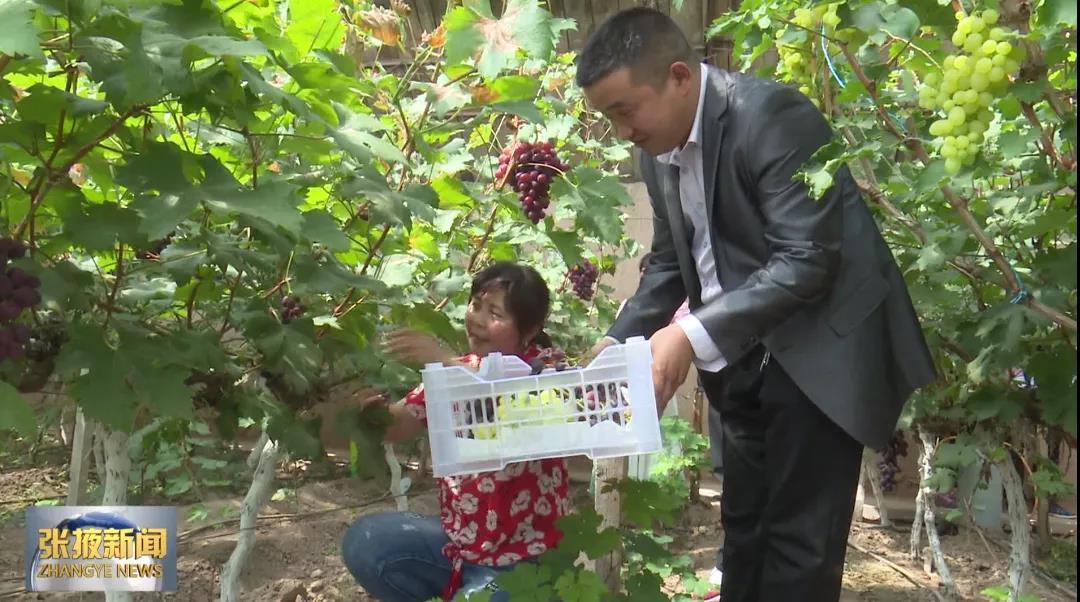 张掖临泽巧打“反季牌” 打造特色林果"金字招牌"