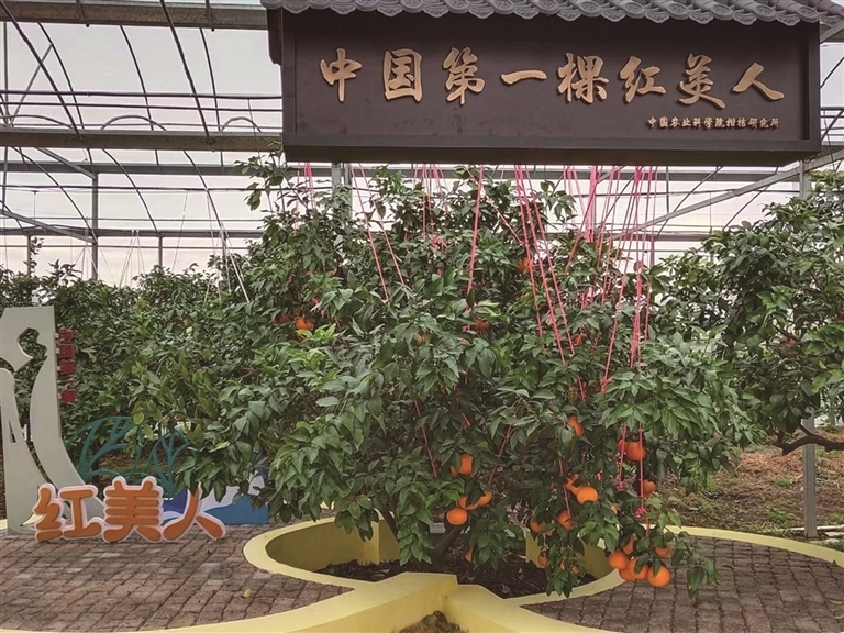 宁波打造数智农业 助推乡村振兴