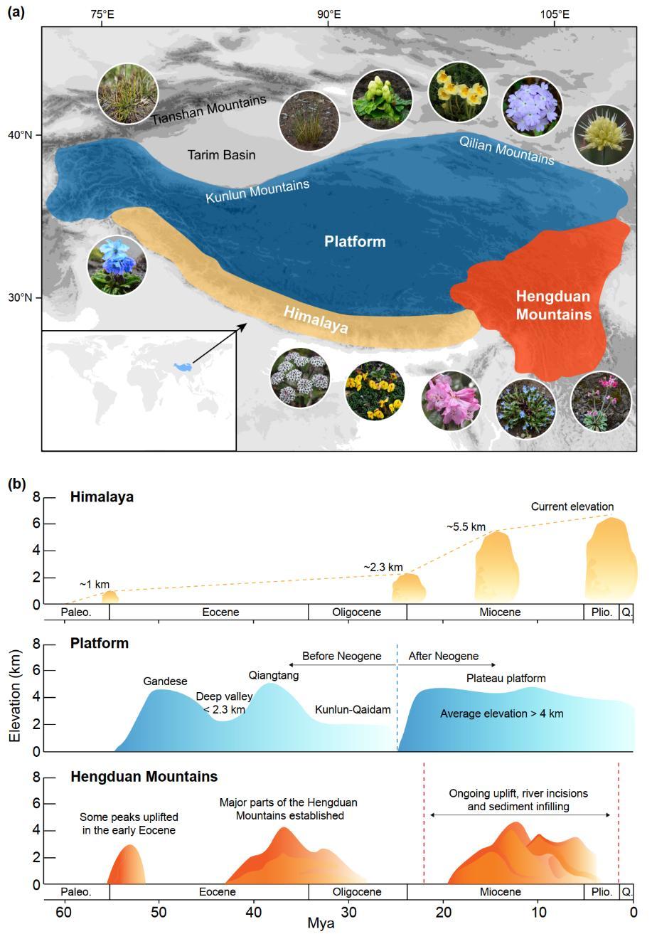 图1. 青藏高原的范围和抬升历史