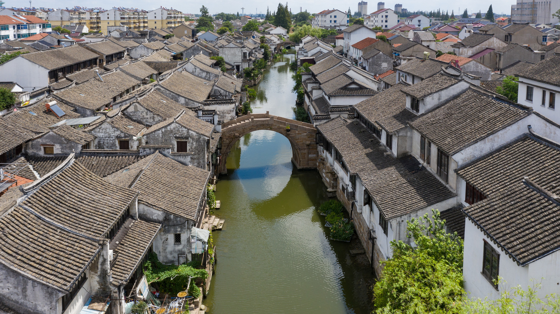 2022年太仓市民生实事项目，定了！