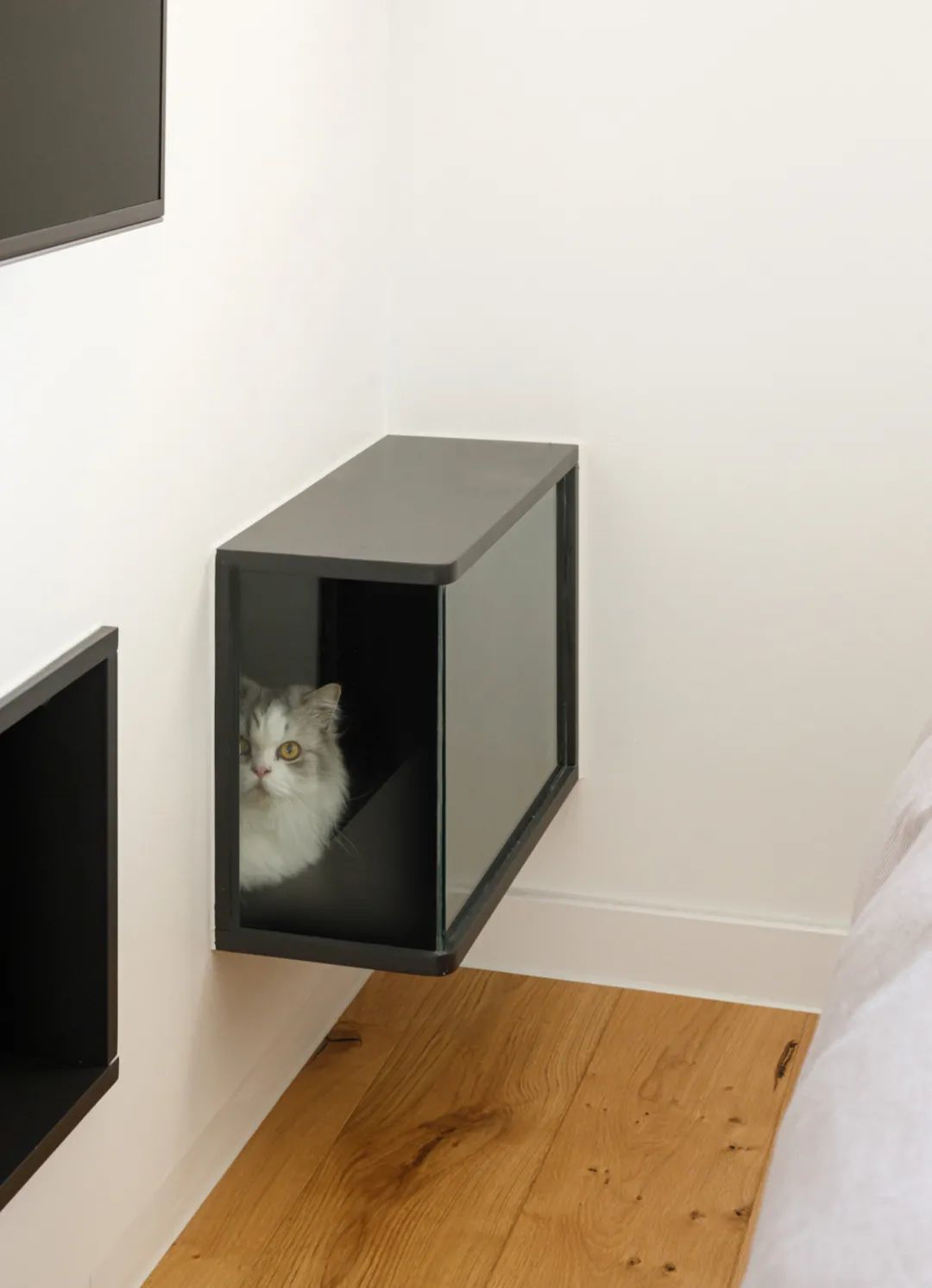   电视柜上的猫洞是直接连通主卧的，晚上即便关着门，两只猫咪不进入卧室内部，也能通过电视墙“进入”主卧巡查。
