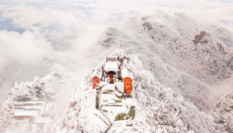 （白雪丛中一点红 拍摄者：游尘）