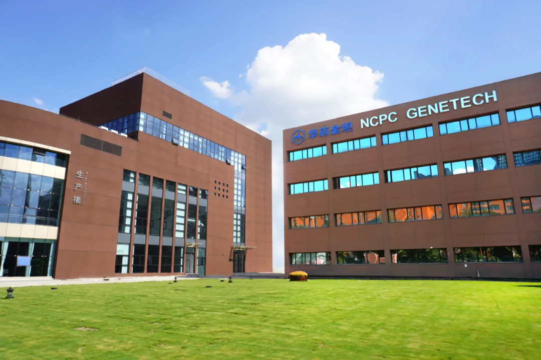 华北制药金坦公司被认定为河北省科技领军企业