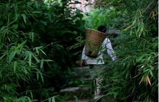 黄柏超：隐居峰山深处的“黄药师”