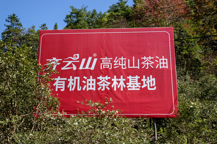 齐云山茶油匠心缔造“中国好粮油”