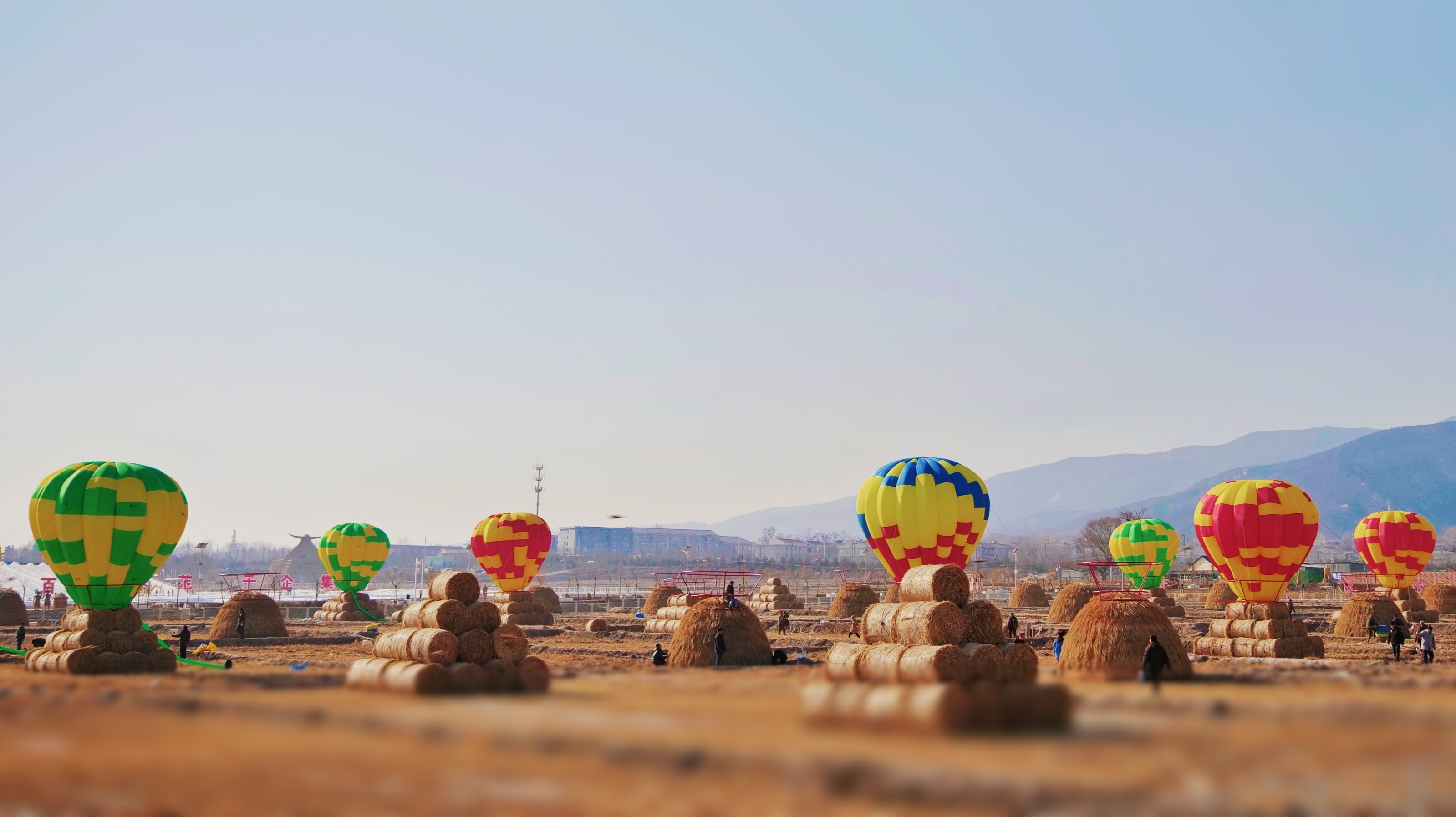 太原度假新去处晋源稻田公园新装归来