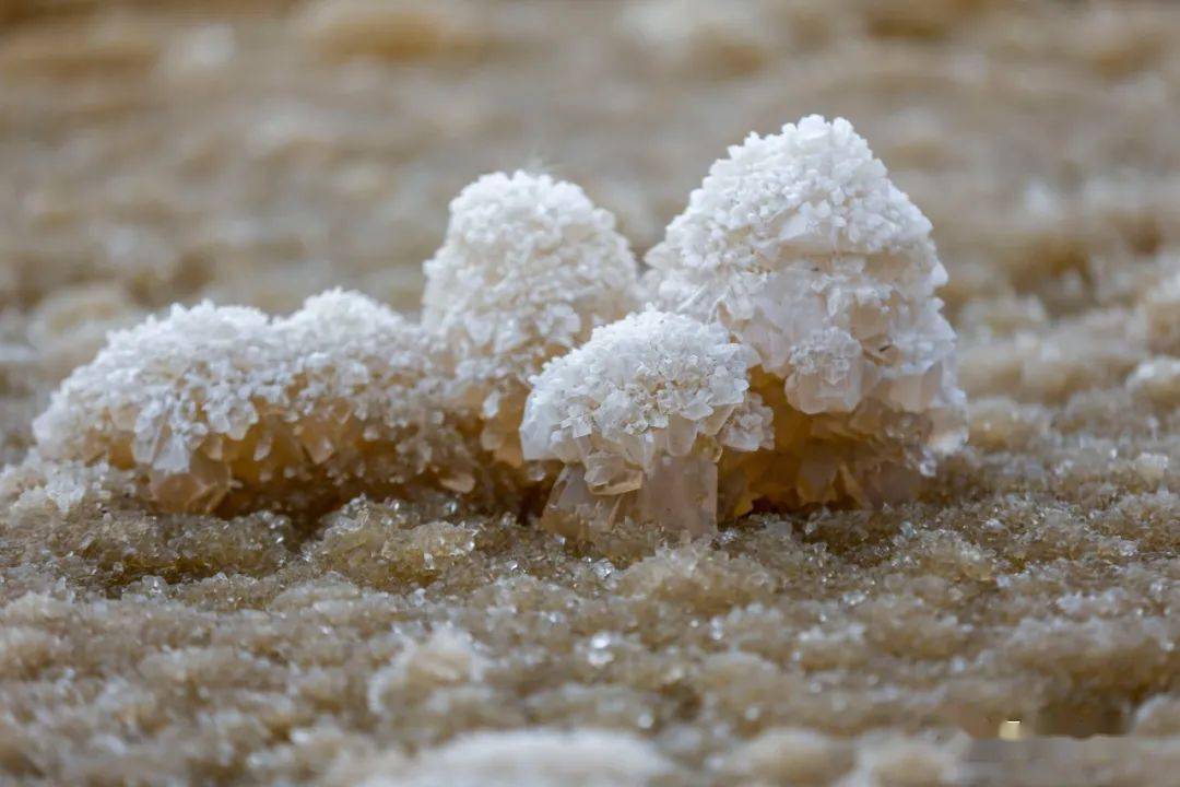 来源：运城新闻网