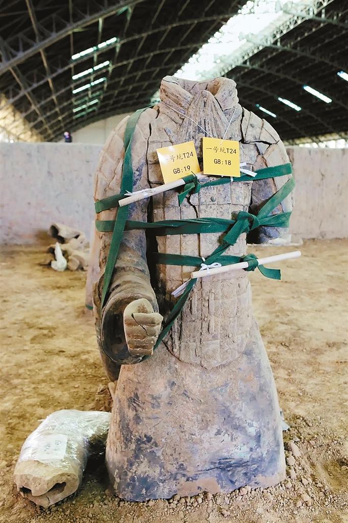 G8出土并完成修复的陶俑。（秦陵博物院供图）