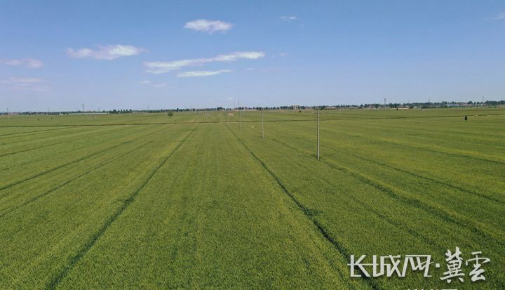 到2025年河北省高标准农田将达到5526万亩