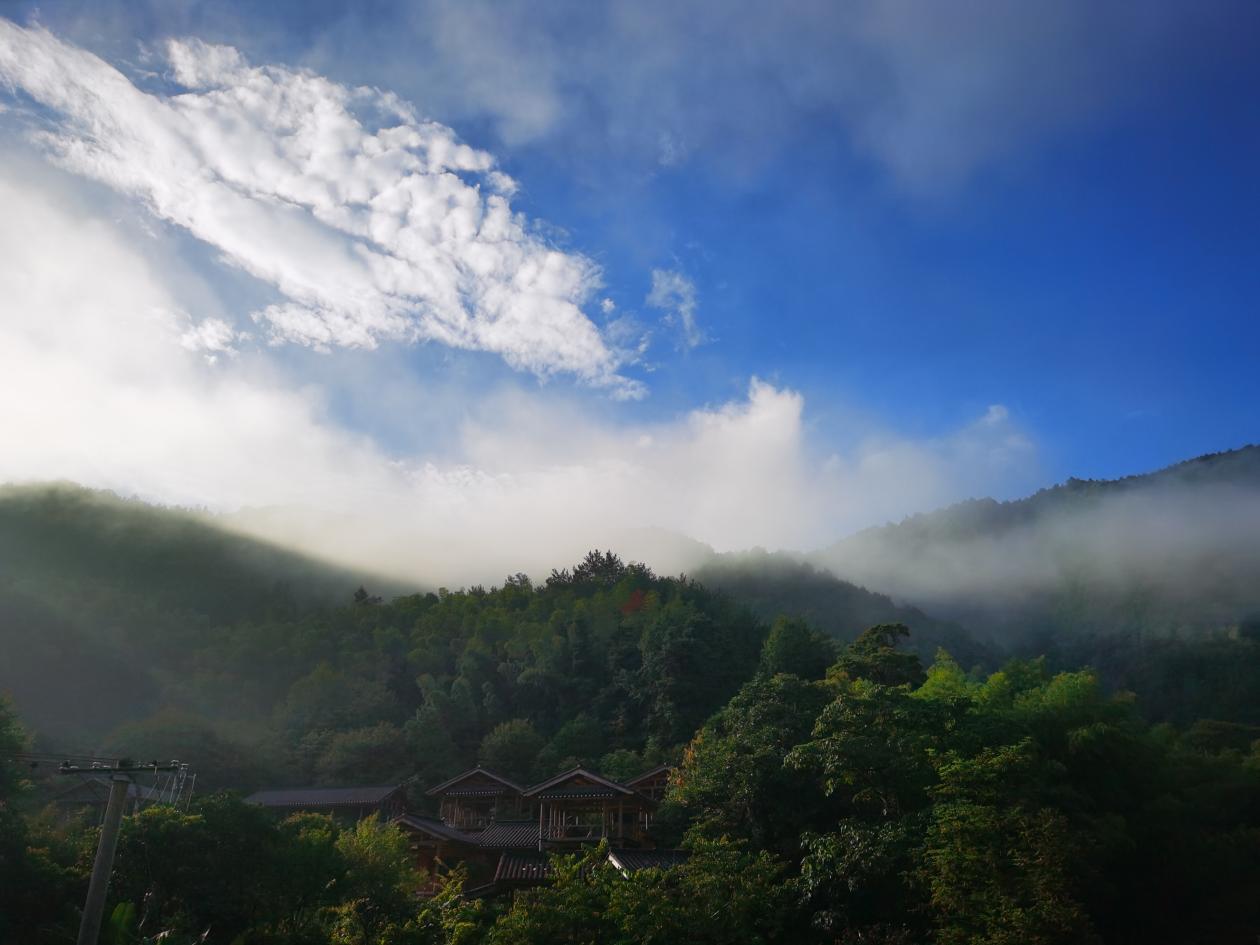 黄柏超：隐居峰山深处的“黄药师”