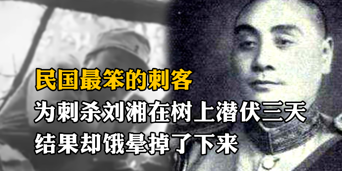 民国最笨的刺客：为刺杀刘湘在树上潜伏三天，结果却饿晕掉了下来