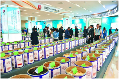 港澳委员看甘肃丨郑宇凌(香港):好山好水出好药 陇原道地药飘香