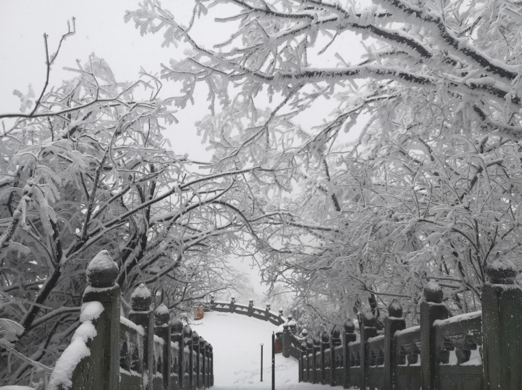 亮了！下雪的武当山中道长和弟子们还能这么玩