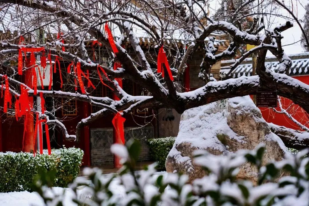 西部雪谷 康养定西