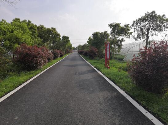 南昌县武阳镇人居环境大整治乡村美丽大提升