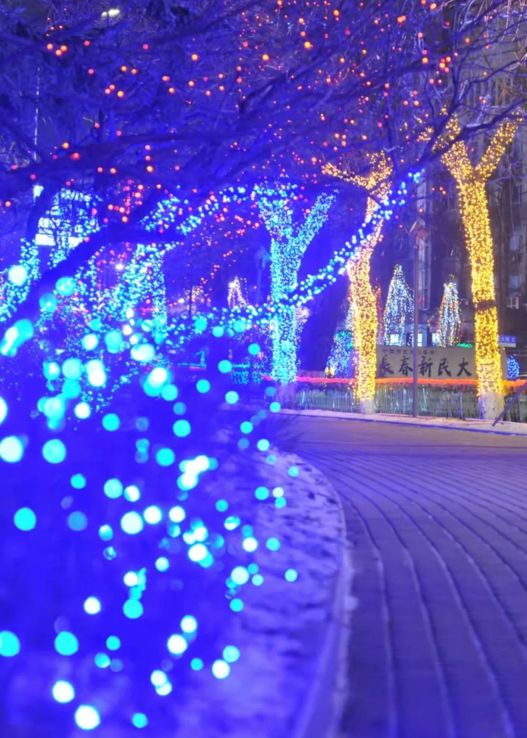 流光溢彩的“长春夜”，到底有多“靓”？