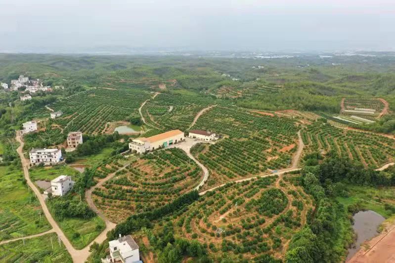 南康“最强考察团”两天现场察看18个乡镇