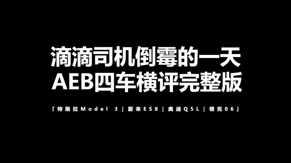 四车AEB横评大合集 滴滴司机倒霉的一天
