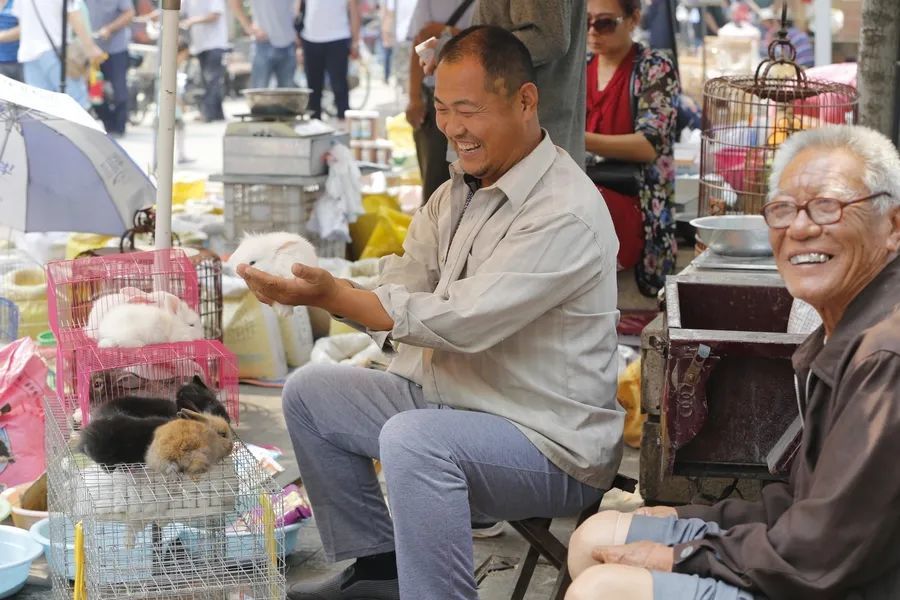 资料图。图片来源：大众网