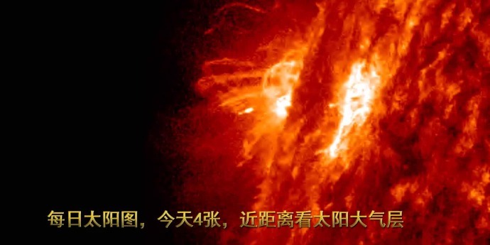 每日太阳图，今天4张，近距离看太阳大气层