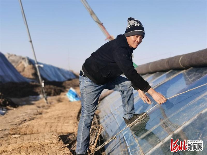 2月1日,黄瓜小镇翟庄村瓜农在整理大棚保温帘,确保黄瓜光照充足。黄瓜小镇翟庄村黄瓜种植园区,坚持统一品种种植、统一标准生产、统一质量检测、统一标识销售等“五统一管理”,提升了黄瓜市场售价和竞争力。