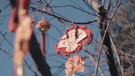 老友重逢！中俄元首外交的感人瞬间_凤凰网视频_凤凰网