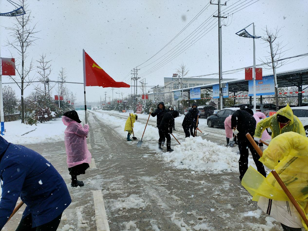 安徽桐城市双港镇瑞雪兆丰年党旗暖人心