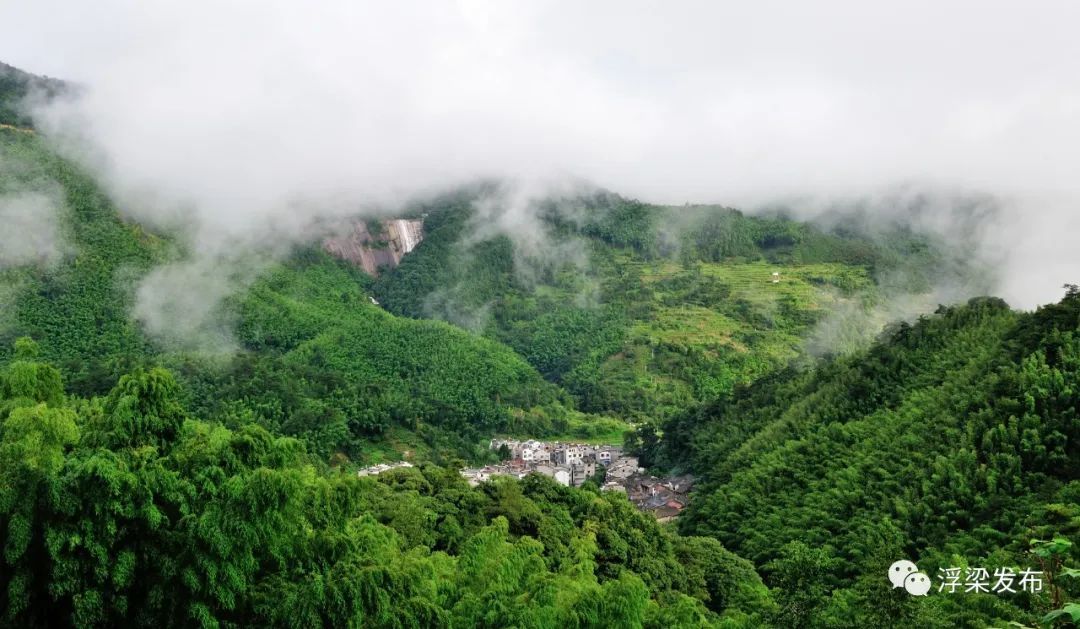 守护这方青山绿水 且看浮梁县“天然氧吧”养成记