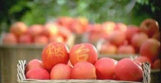 “先行先试 打造样板”：烟台栖霞省级农高区获批