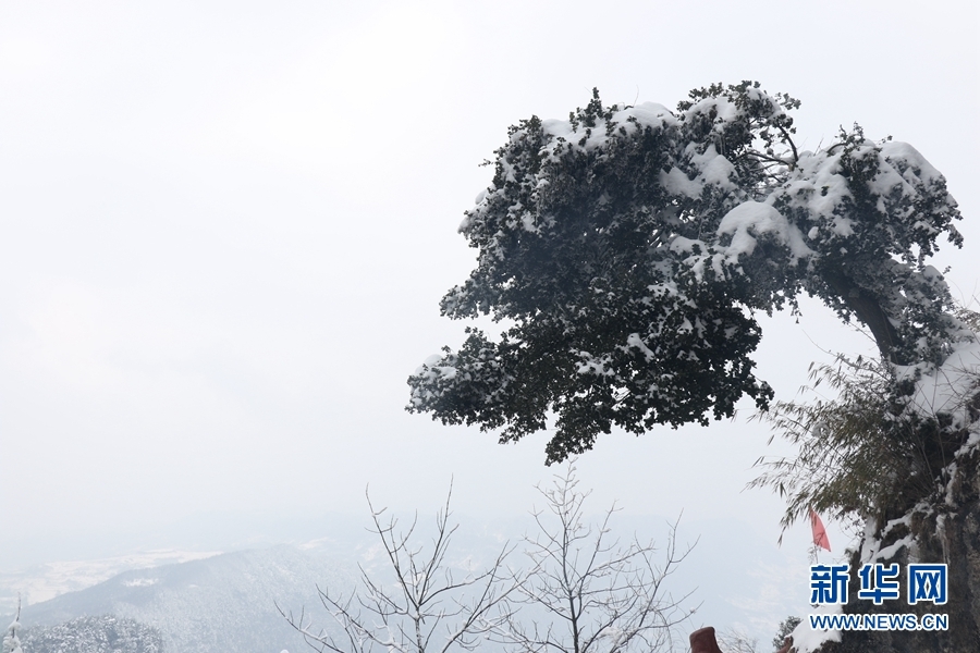 鸡峰山雪景 新华网发 (陈东平 摄)