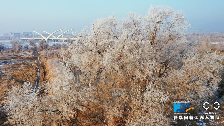 雪韵陇原美成了水墨画 北国风光大赏真的很“可”