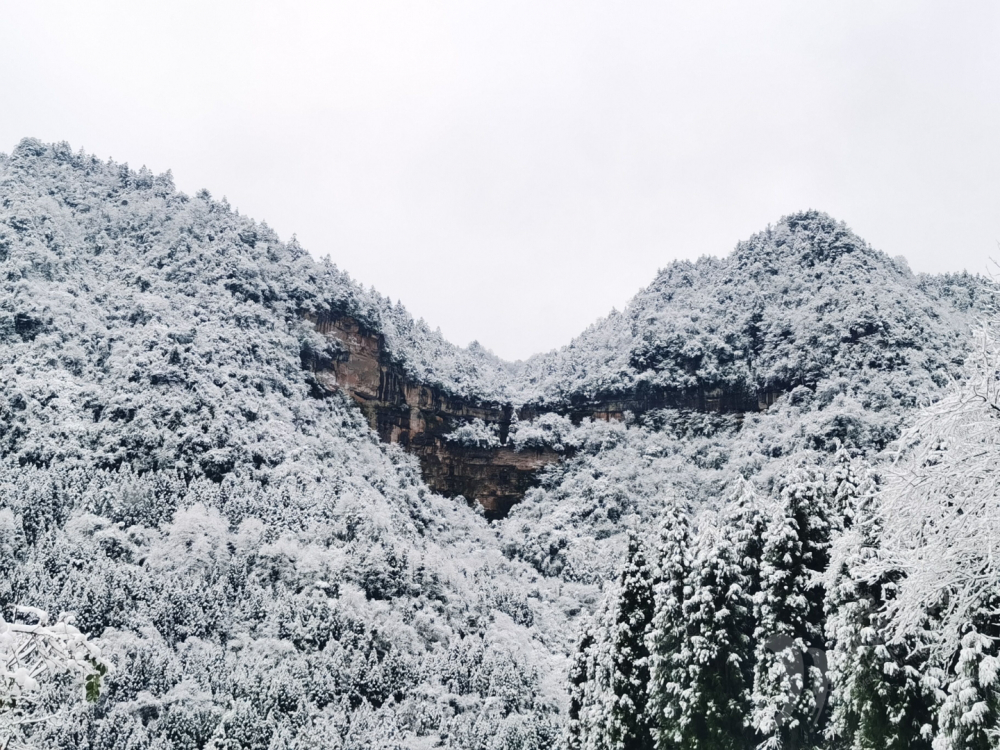 2月7日四面山雪景 四面山管委会供图