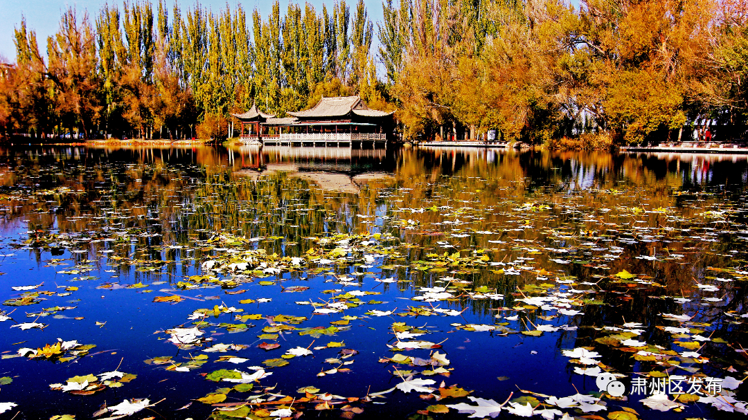 倾酒入泉醉河山 李白杜甫对肃州的深情都藏在诗里……
