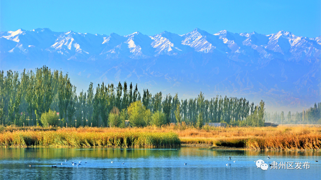 倾酒入泉醉河山 李白杜甫对肃州的深情都藏在诗里……