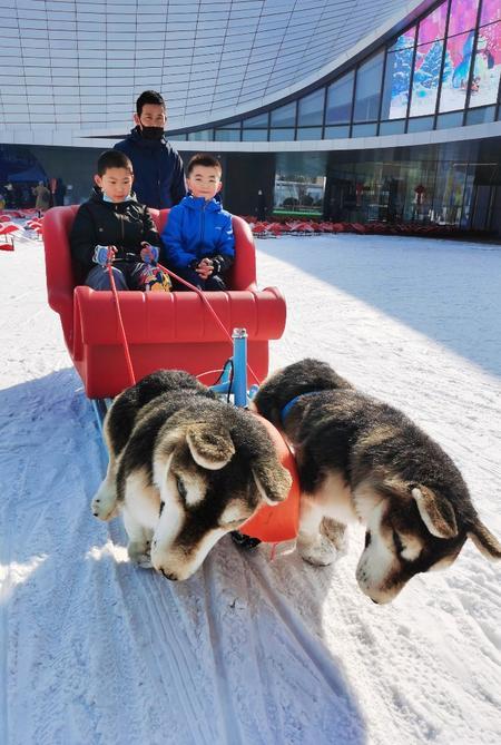 孩子们在兰州万达冰雪嘉年华体验狗拉雪橇的乐趣