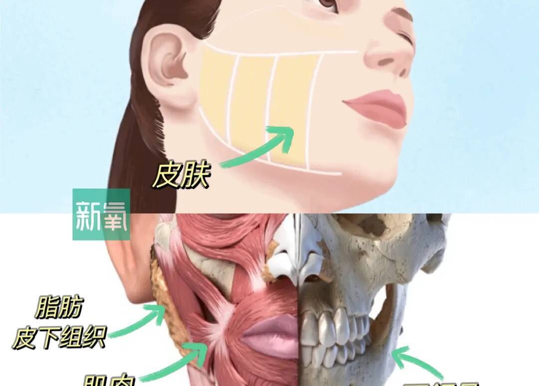 甜茶:别问,问就是发腮了_凤凰网