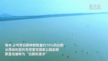 行程万里的跨国之旅