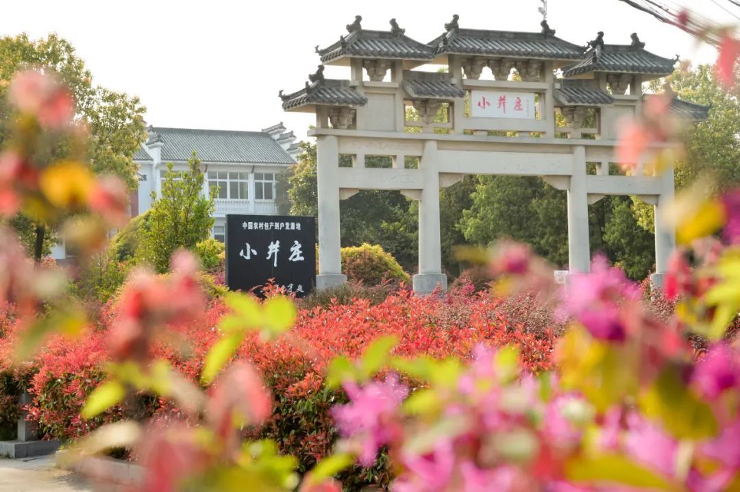 山南小井庄.肥西县委宣传部供图