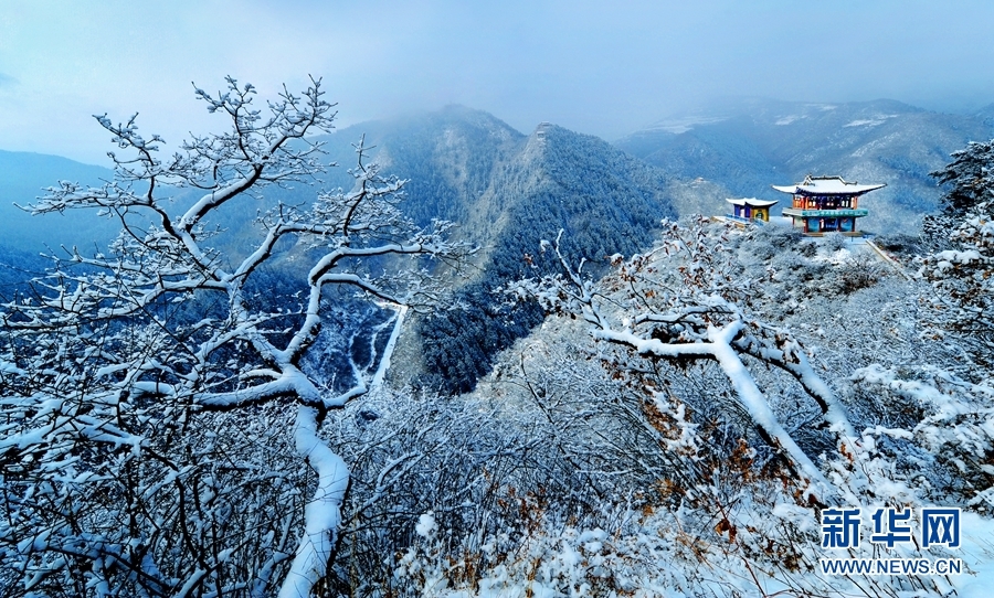 雪韵陇原美成了水墨画 北国风光大赏真的很“可”
