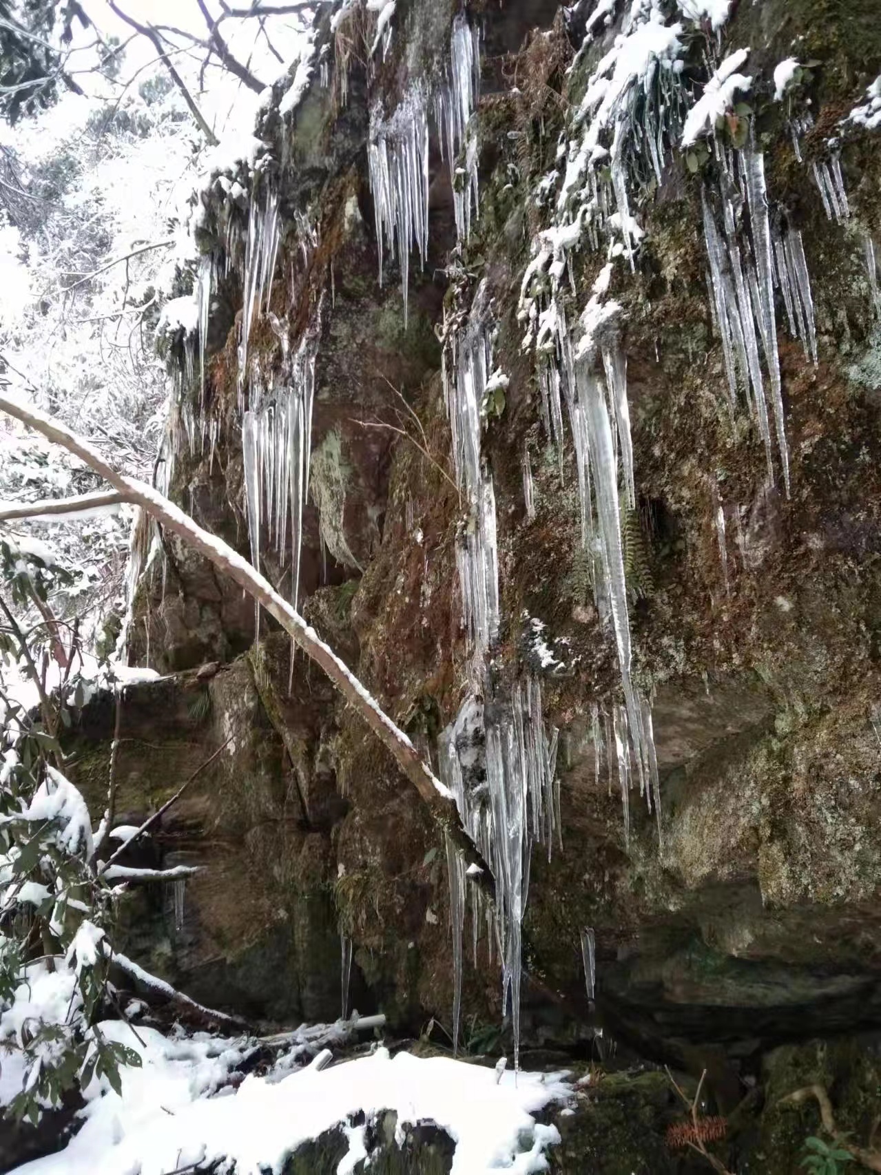 武宁神雾山景区:"高山雪原"吸引众多游客打卡凤凰网江西_凤凰网