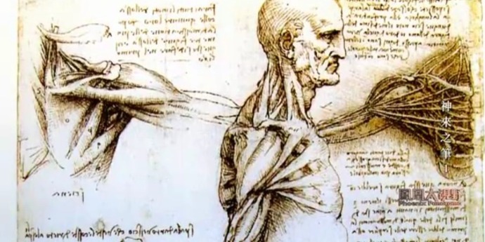 达芬奇共解剖30多具尸体，所作人体解剖图生动清晰
