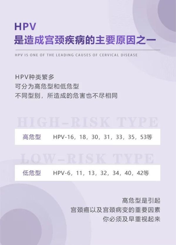 hpv报告单图片 模板图片